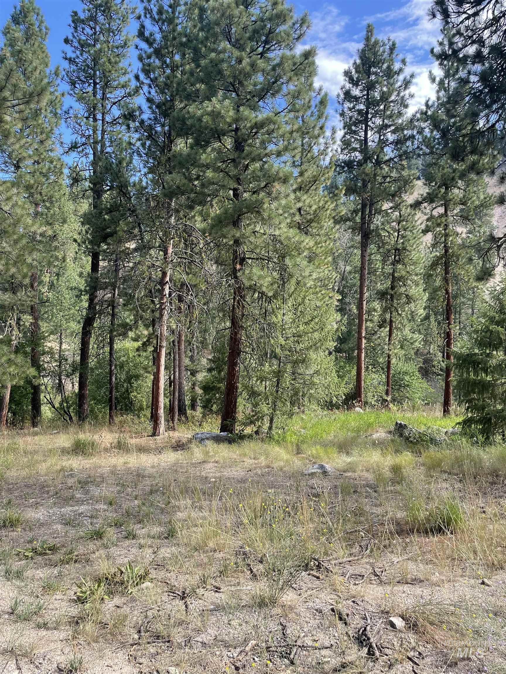 Lot 33 Block 1 Willis Carrie's Paradise Sub, Pine, Idaho 83647, Land For Sale, Price $250,000,MLS 98887491