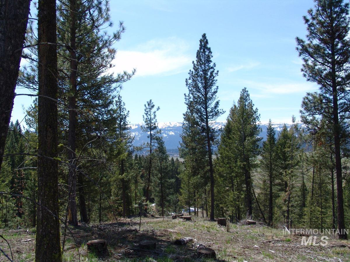 25 San Ignacio Way, Cascade, Idaho 83611, Land For Sale, Price $192,700, 98888035
