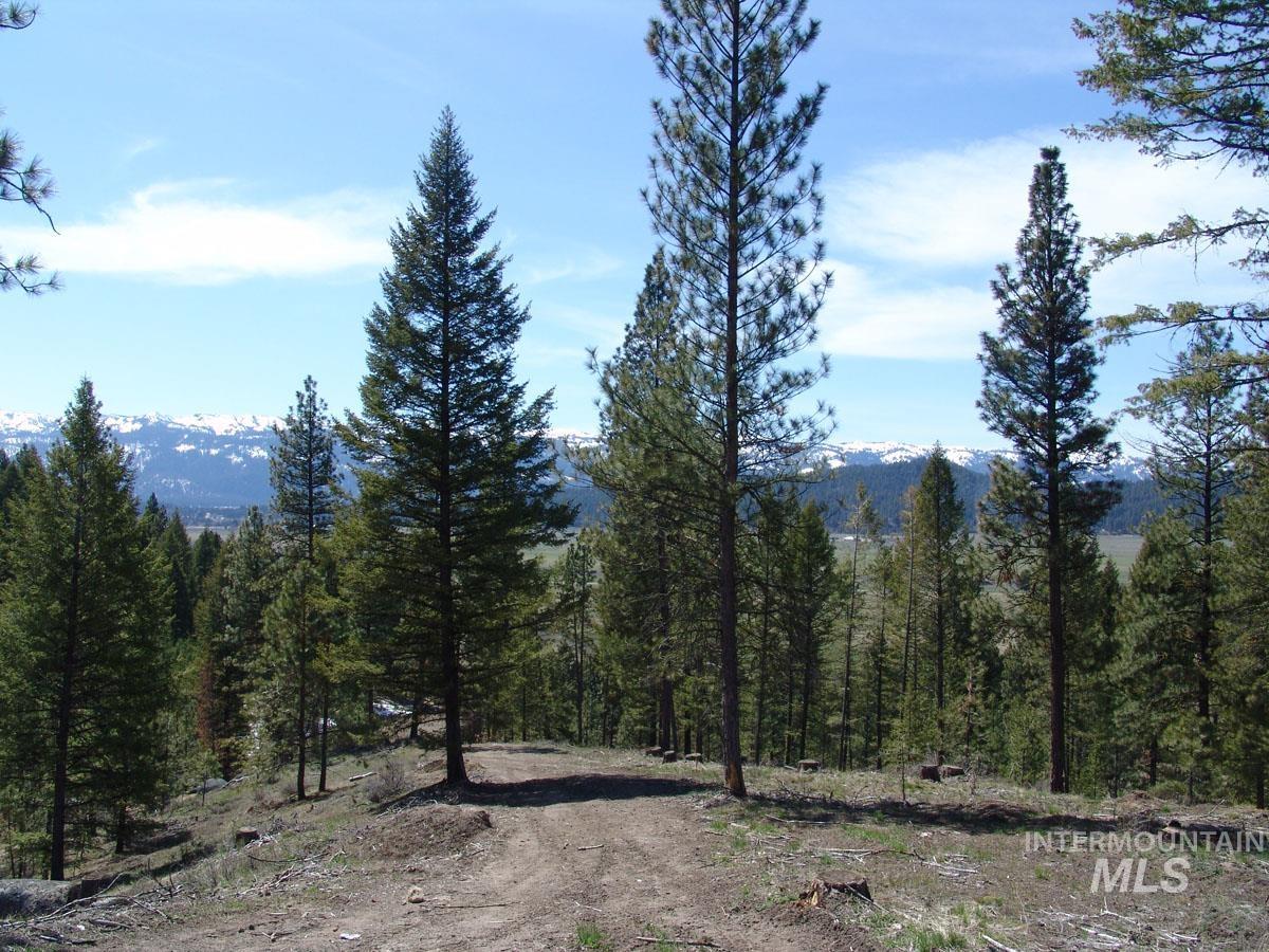 25 San Ignacio Way, Cascade, Idaho 83611, Land For Sale, Price $192,700, 98888035