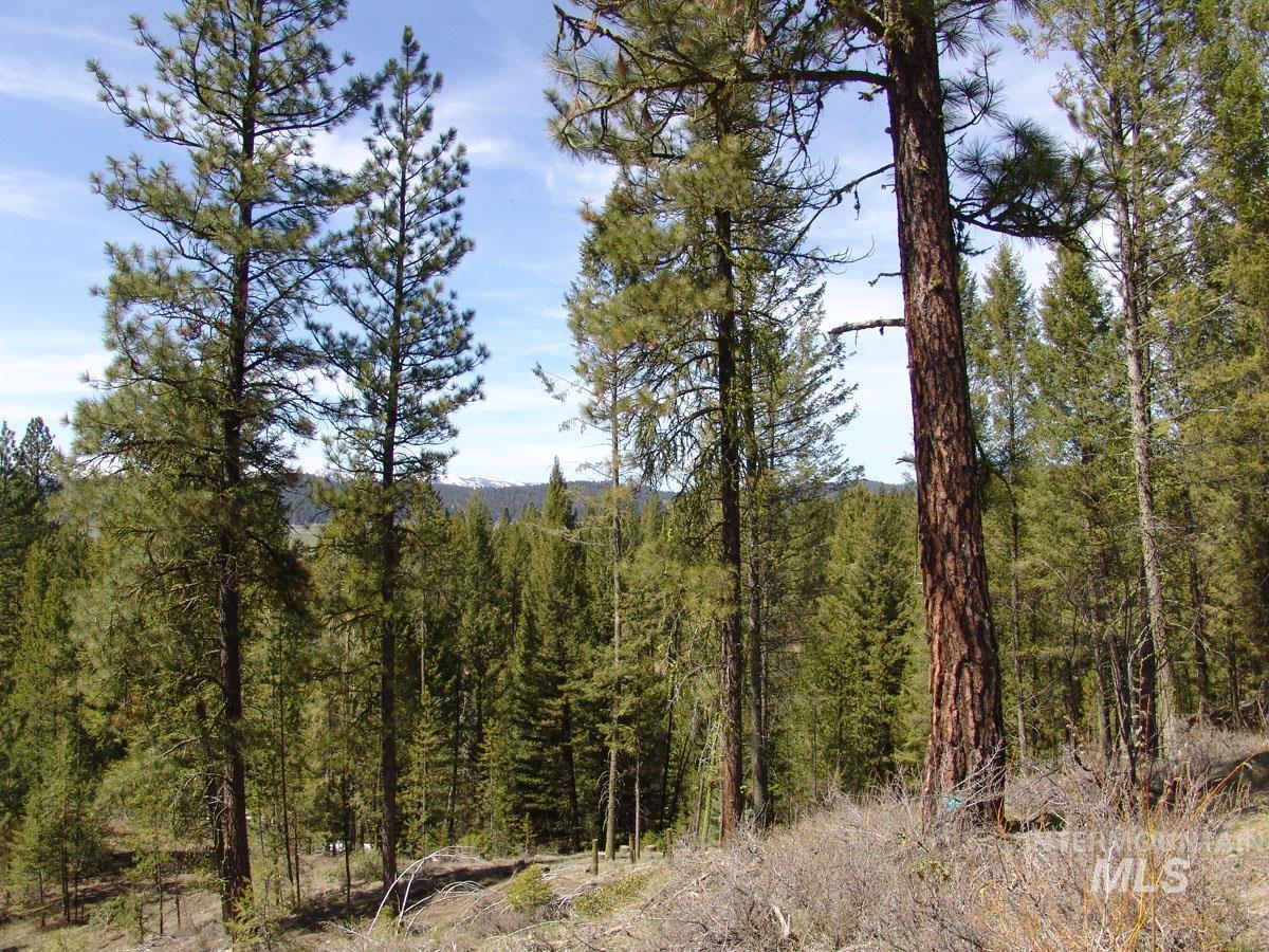 25 San Ignacio Way, Cascade, Idaho 83611, Land For Sale, Price $192,700, 98888035