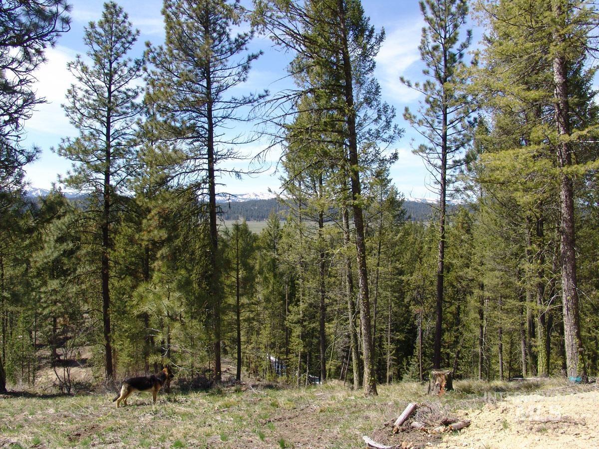 25 San Ignacio Way, Cascade, Idaho 83611, Land For Sale, Price $192,700, 98888035