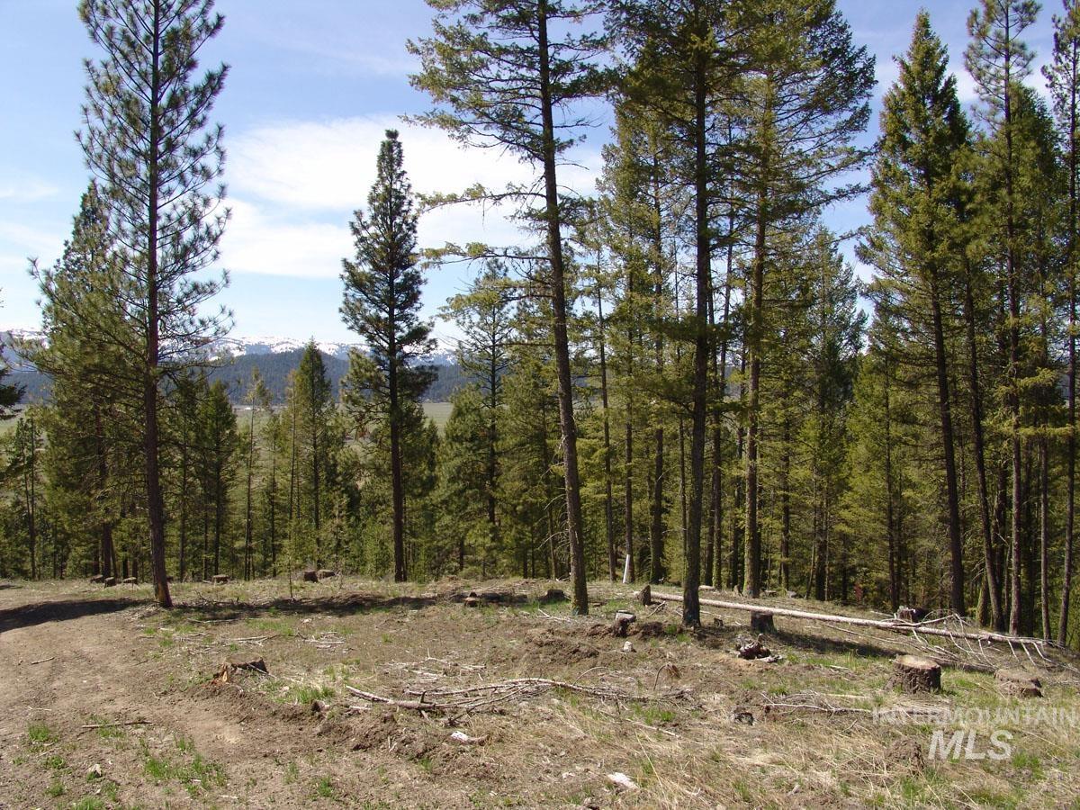 25 San Ignacio Way, Cascade, Idaho 83611, Land For Sale, Price $192,700, 98888035