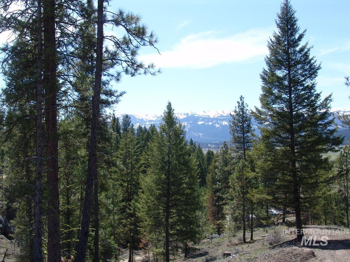 25 San Ignacio Way, Cascade, Idaho 83611, Land For Sale, Price $192,700, 98888035