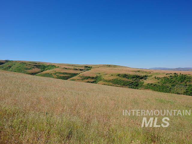 TBD N Grays Cr. Rd, Indian Valley, Idaho 83632, Farm & Ranch For Sale, Price $968,750,MLS 98888222