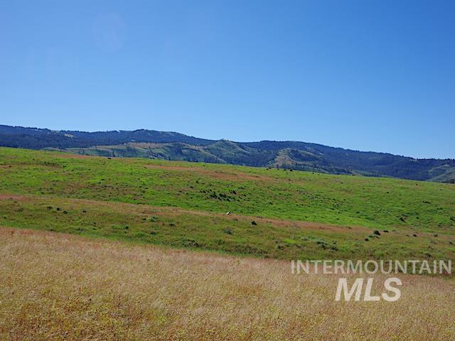 TBD N Grays Cr. Rd, Indian Valley, Idaho 83632, Farm & Ranch For Sale, Price $968,750,MLS 98888222