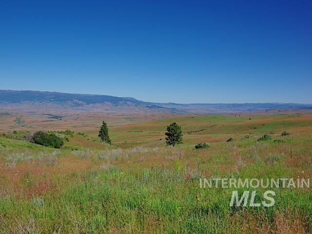TBD N Grays Cr. Rd, Indian Valley, Idaho 83632, Farm & Ranch For Sale, Price $968,750,MLS 98888222