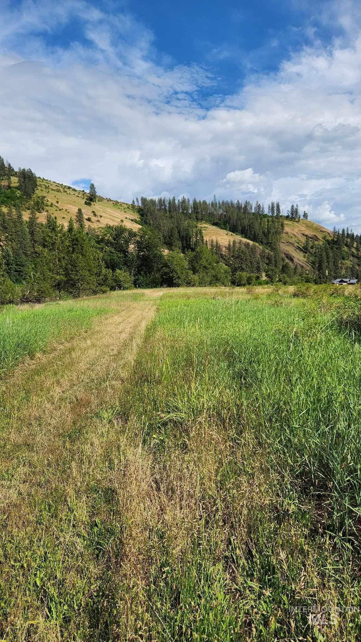 TBD Highway 13 2.5 Acres, Stites, Idaho 83552, Land For Sale, Price $250,000, 98888566