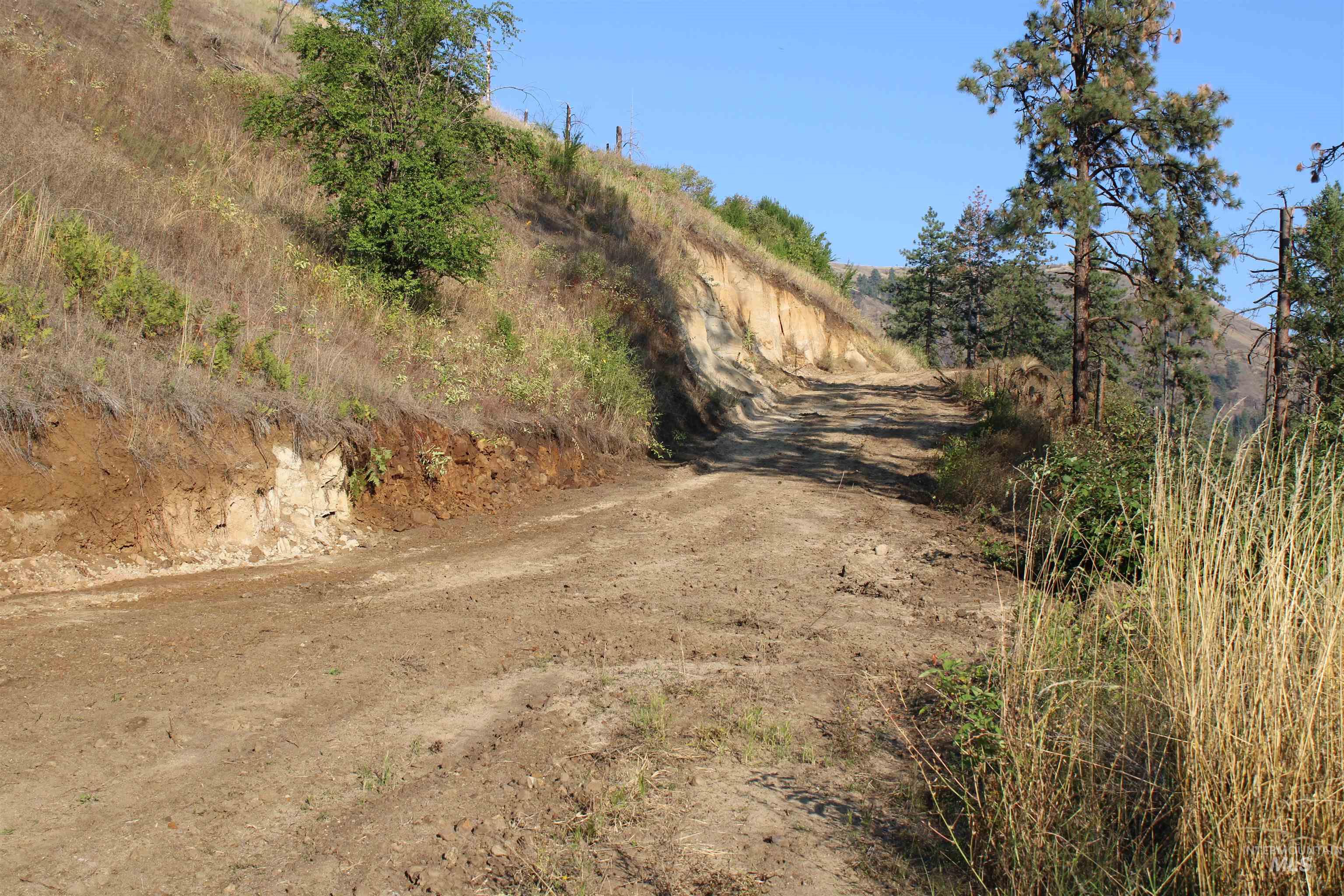 TBD Glenwood Road, Kamiah, Idaho 83536, Land For Sale, Price $199,000, 98888731