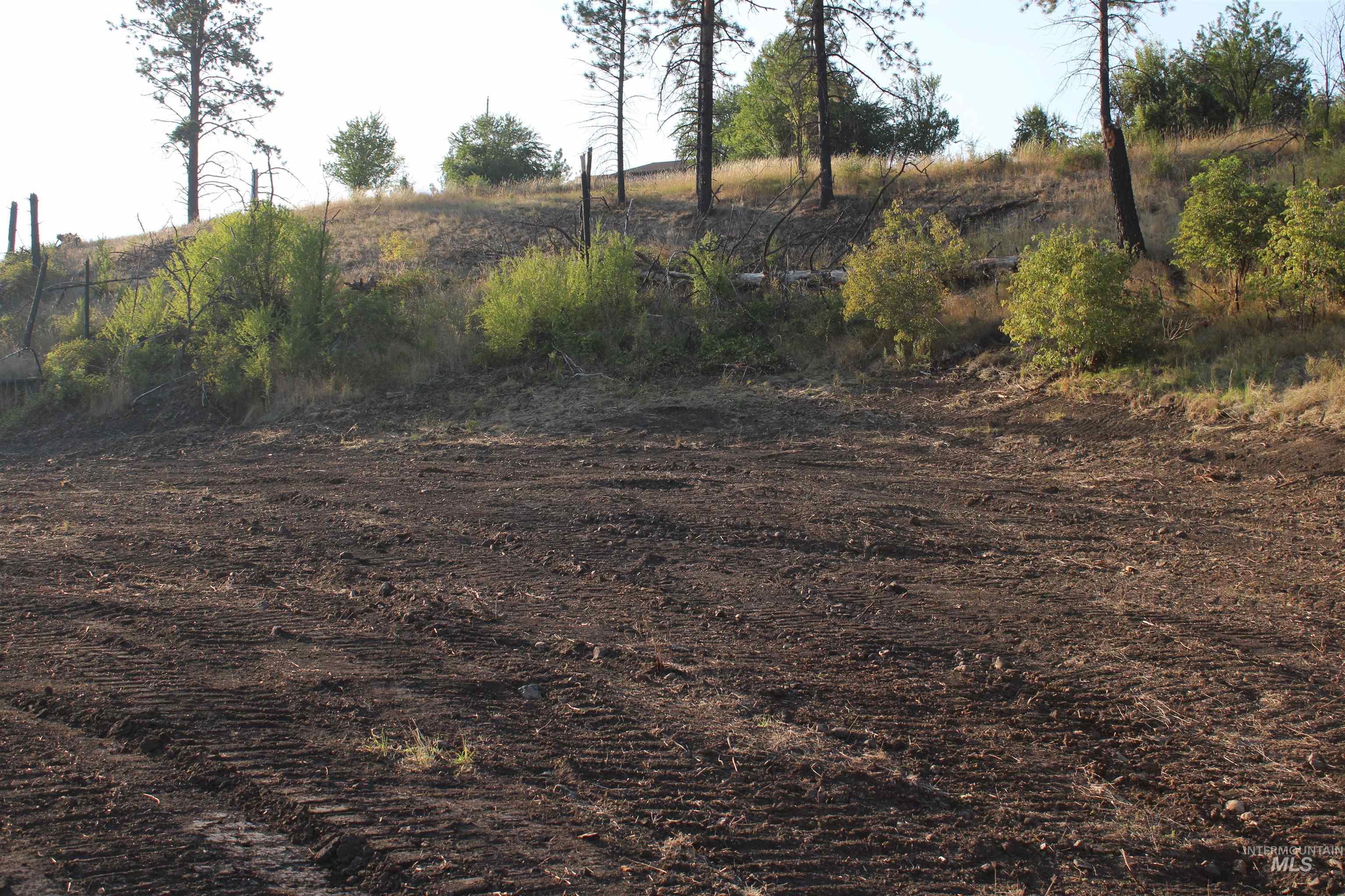 TBD Glenwood Road, Kamiah, Idaho 83536, Land For Sale, Price $199,000, 98888731