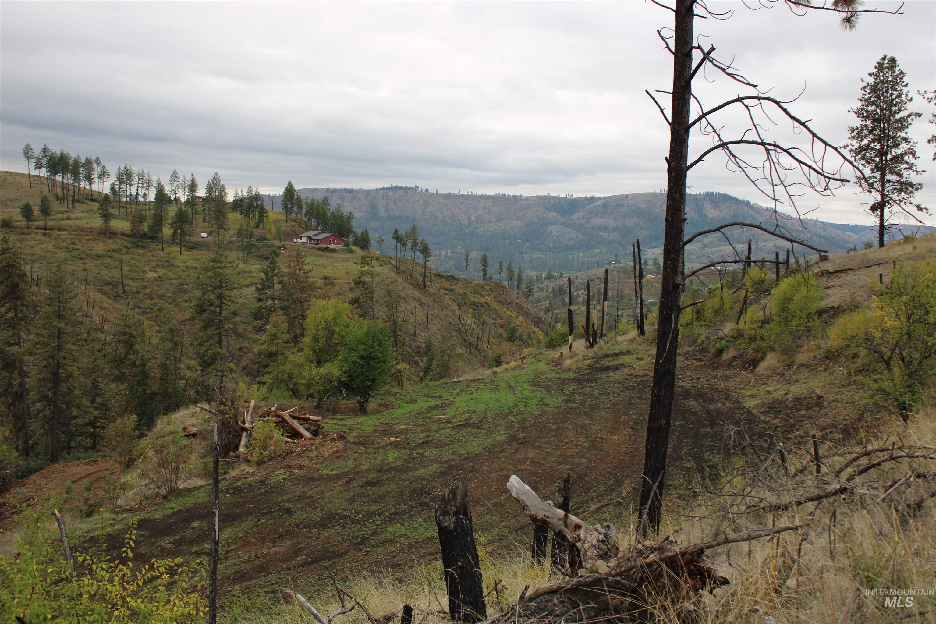 TBD Glenwood Road, Kamiah, Idaho 83536, Land For Sale, Price $199,000, 98888731