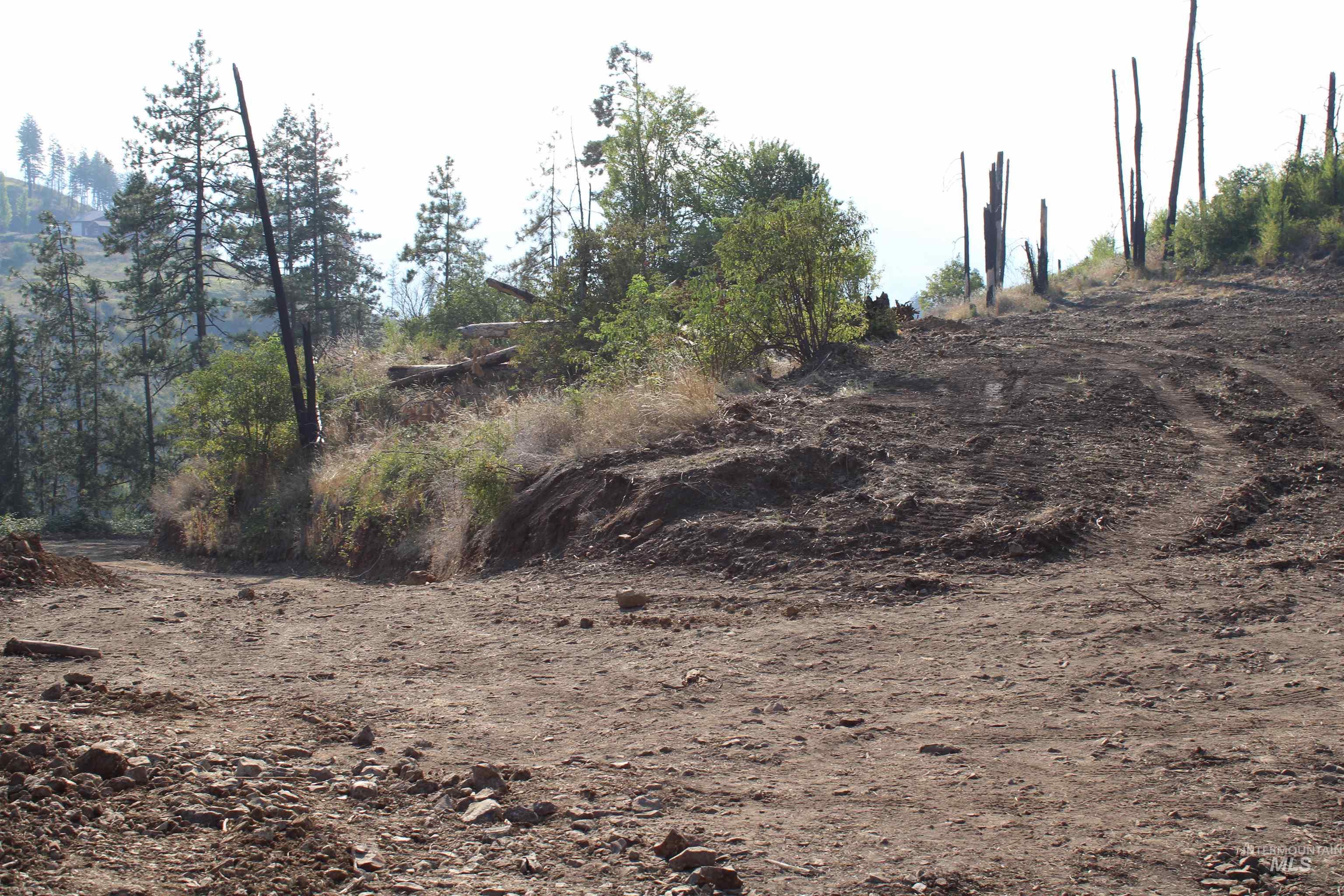 TBD Glenwood Road, Kamiah, Idaho 83536, Land For Sale, Price $199,000, 98888731