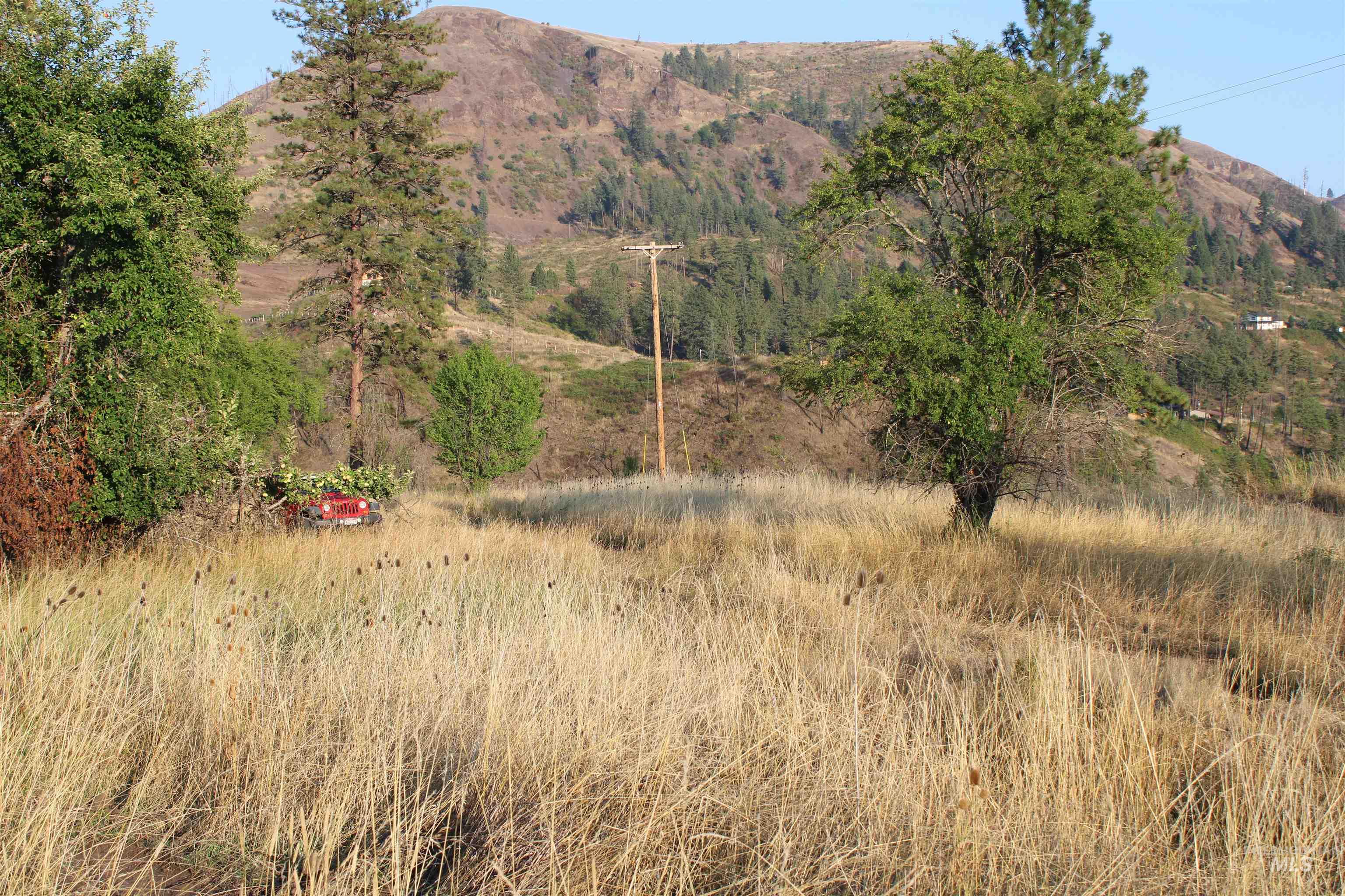 TBD Glenwood Road, Kamiah, Idaho 83536, Land For Sale, Price $199,000, 98888731