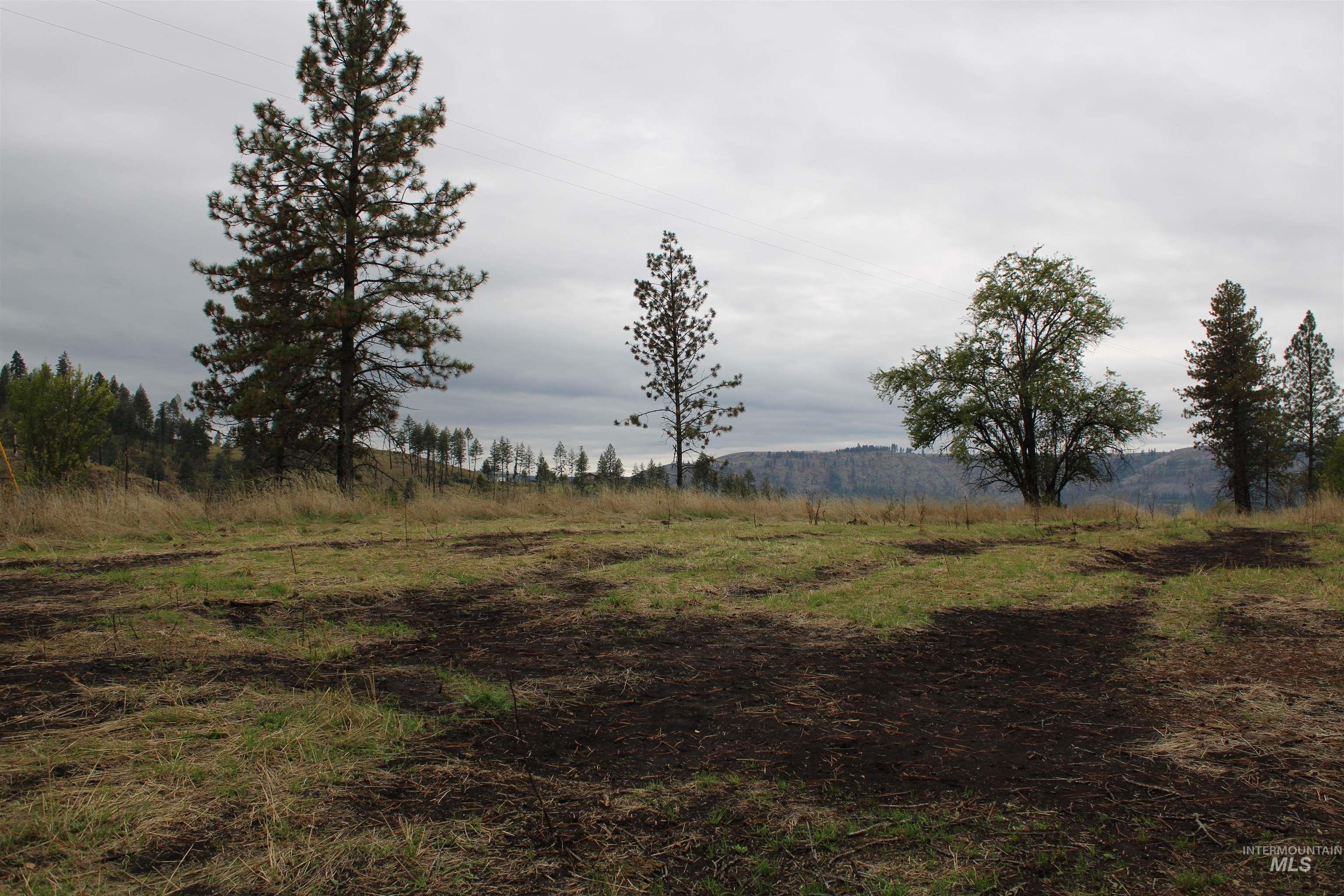 TBD Glenwood Road, Kamiah, Idaho 83536, Land For Sale, Price $199,000, 98888731