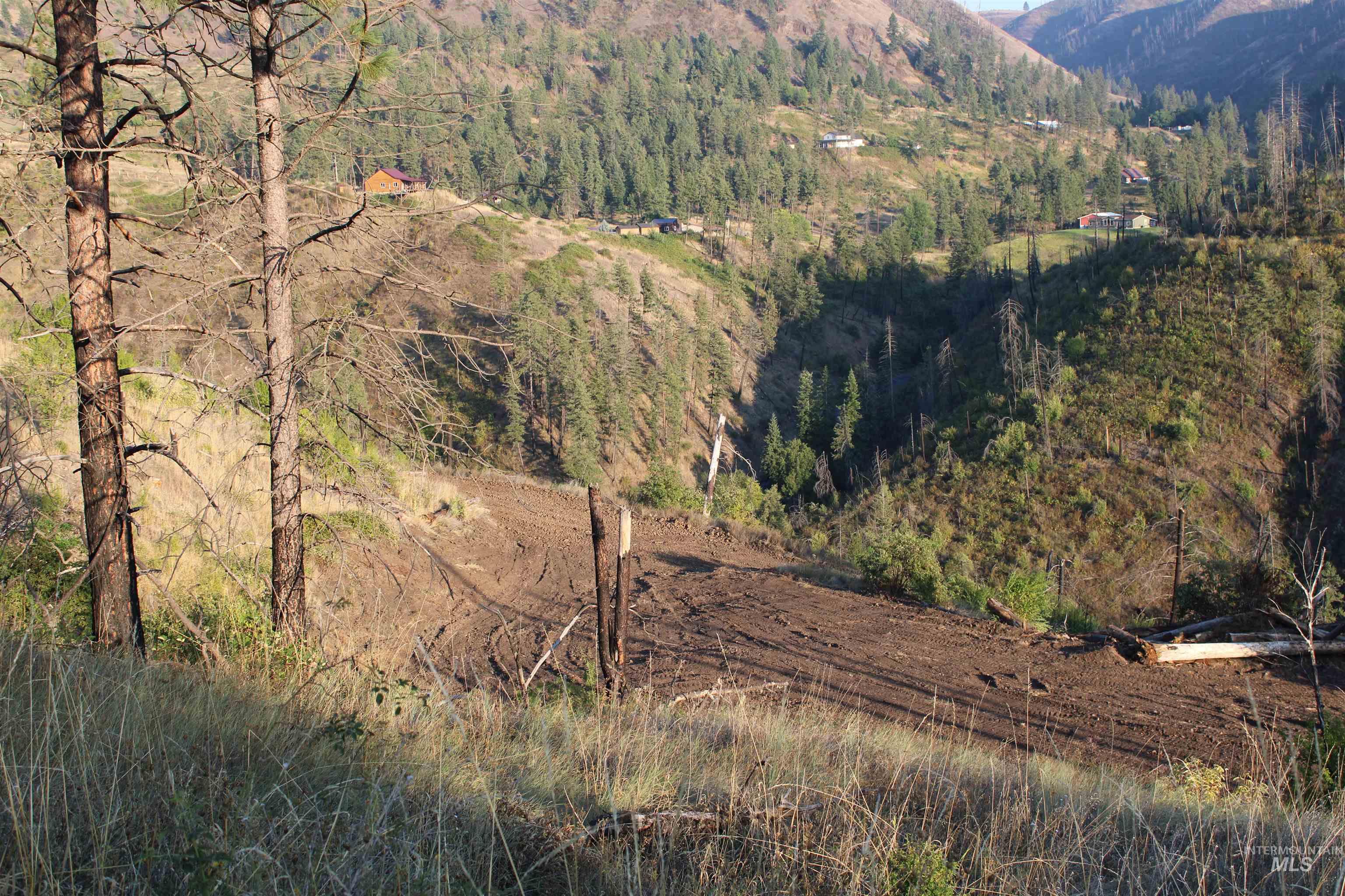 TBD Glenwood Road, Kamiah, Idaho 83536, Land For Sale, Price $199,000, 98888731