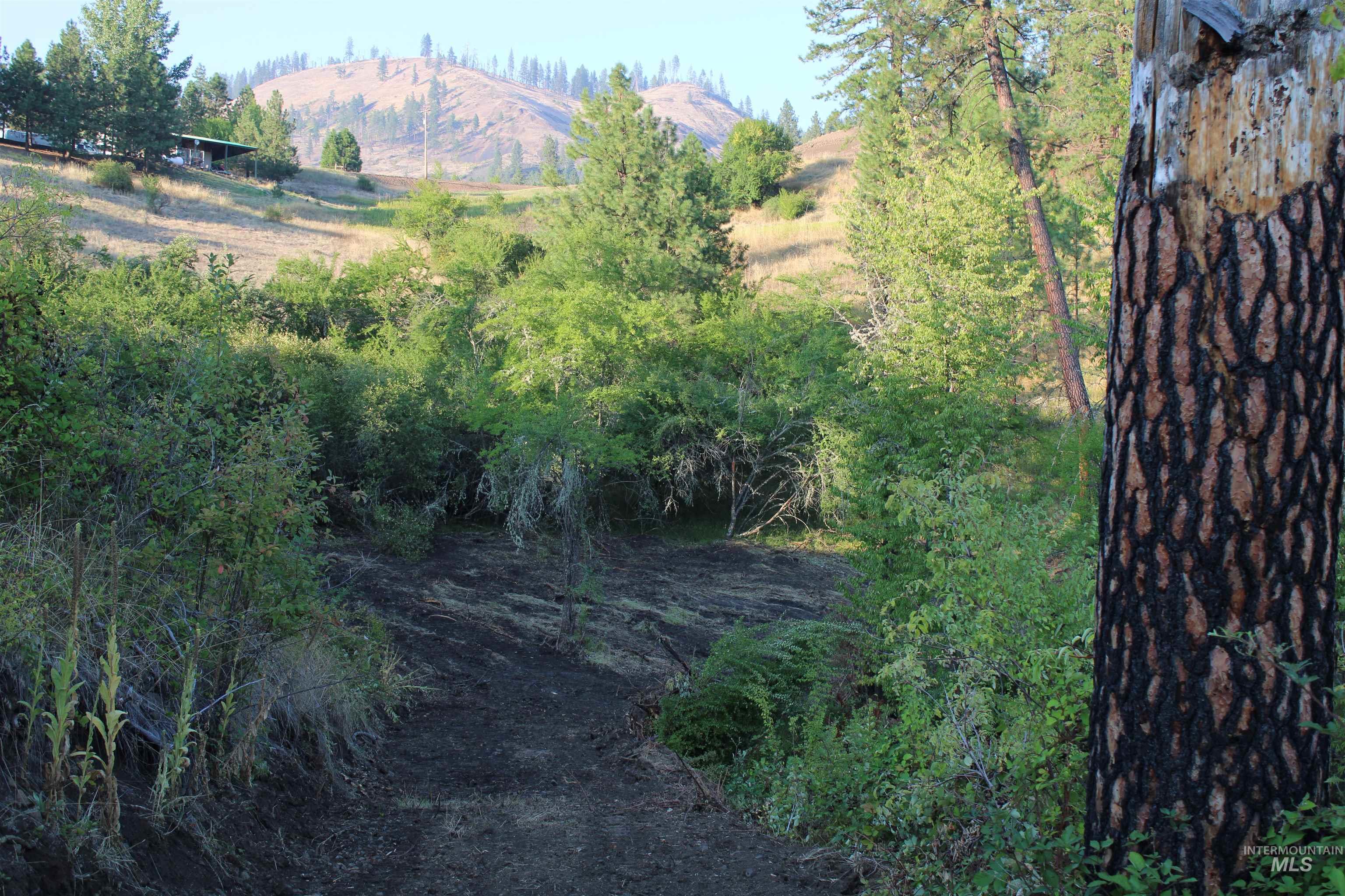 TBD Glenwood Road, Kamiah, Idaho 83536, Land For Sale, Price $199,000, 98888731