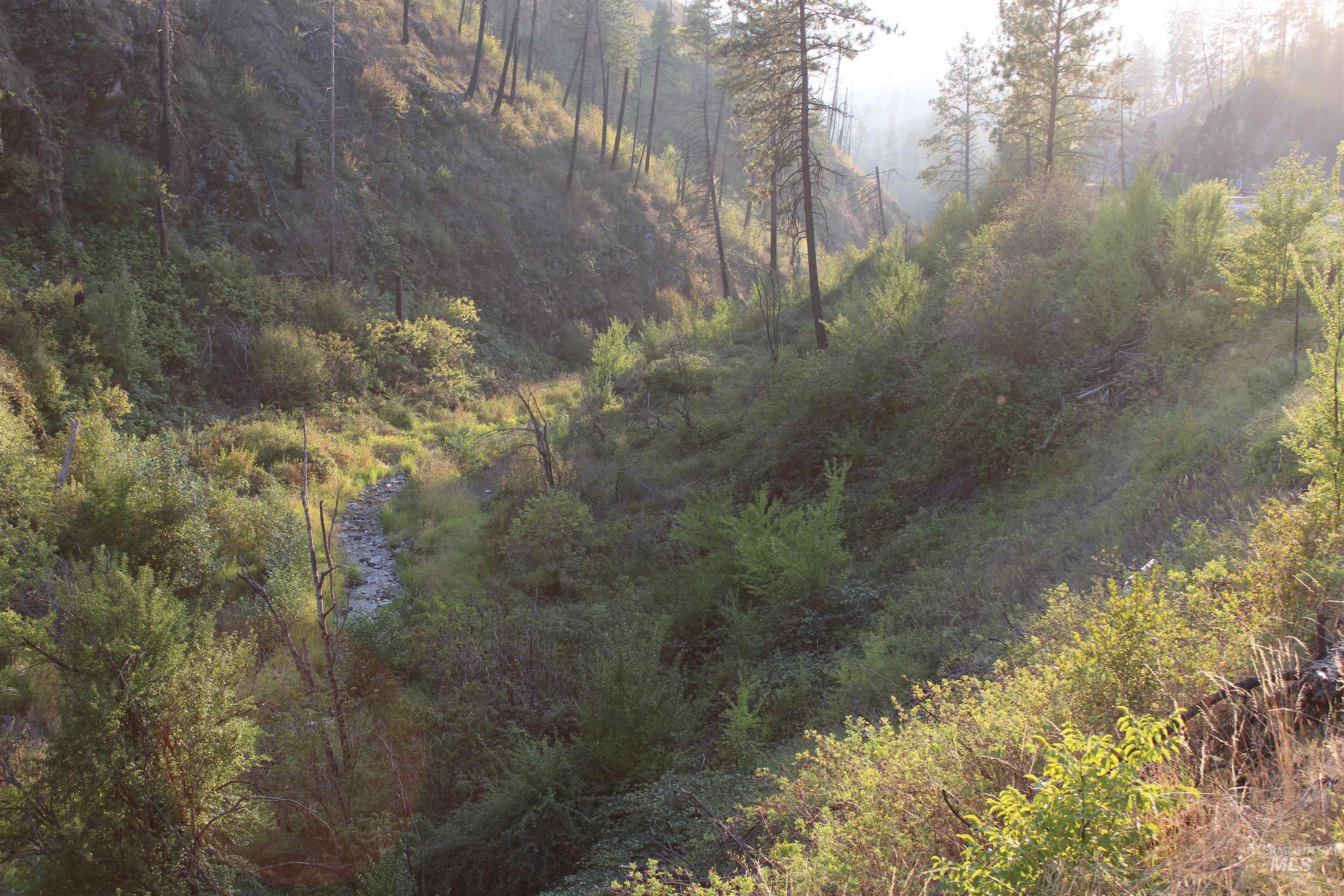 TBD Glenwood Road, Kamiah, Idaho 83536, Land For Sale, Price $199,000, 98888731