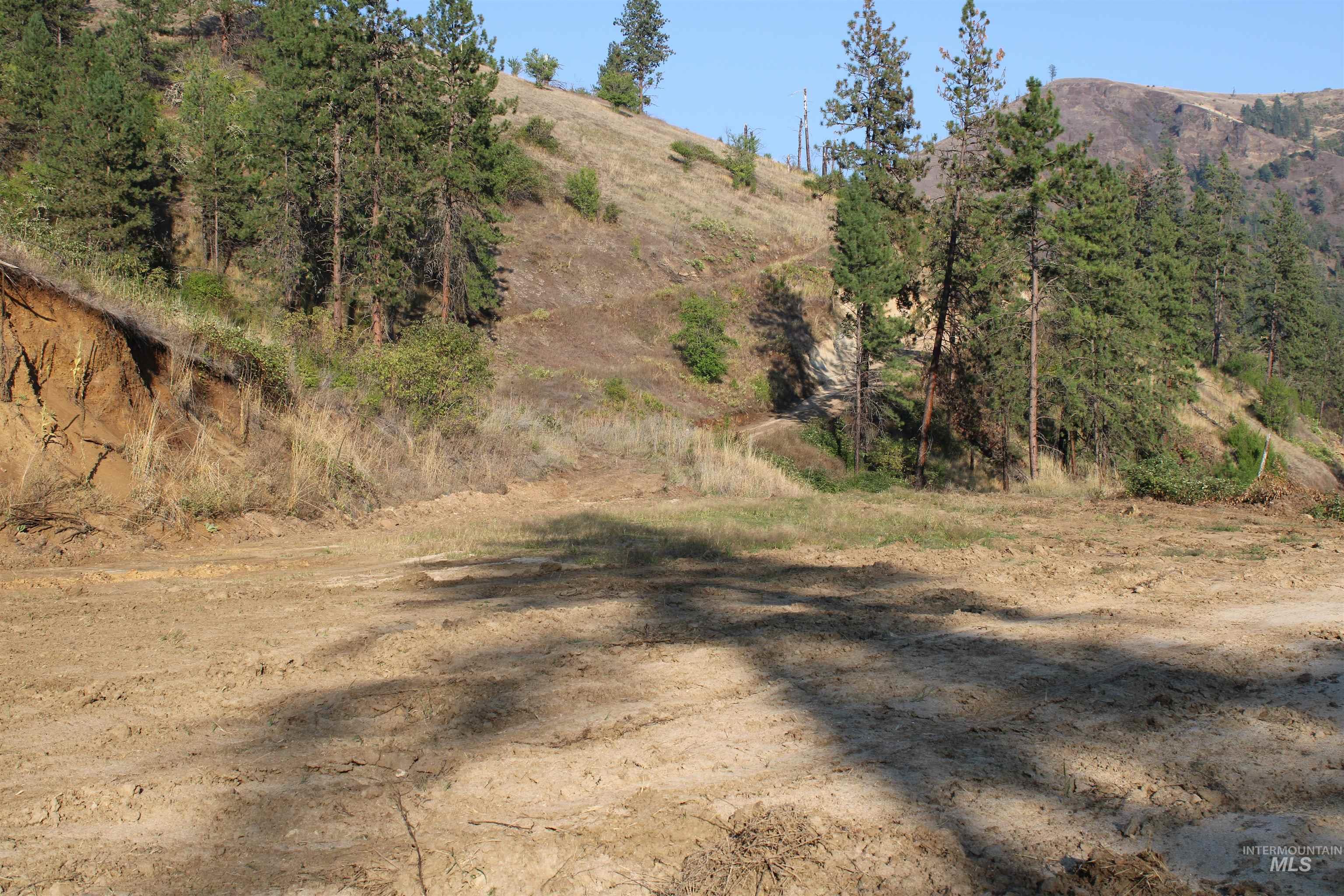 TBD Glenwood Road, Kamiah, Idaho 83536, Land For Sale, Price $199,000, 98888731