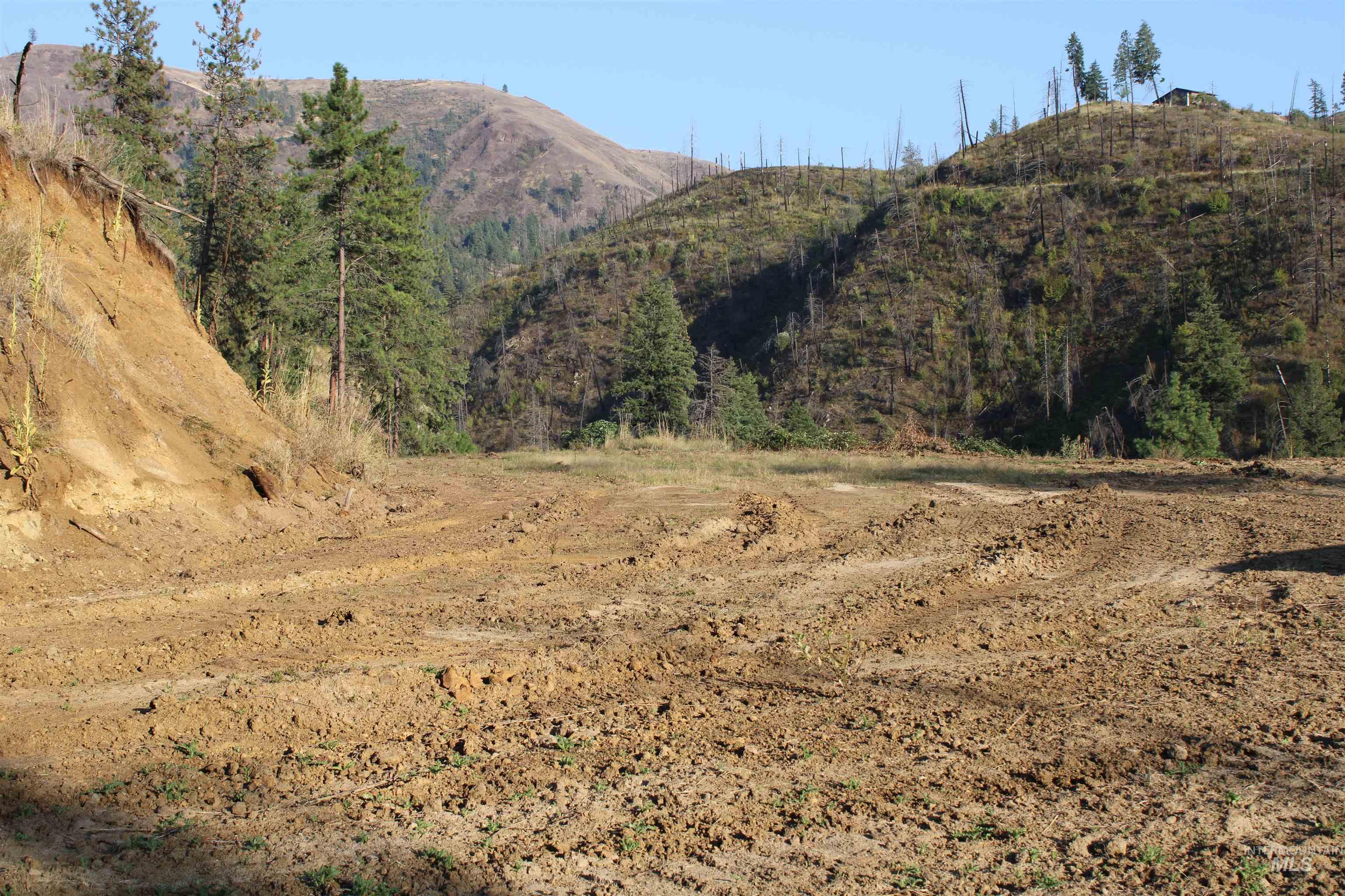 TBD Glenwood Road, Kamiah, Idaho 83536, Land For Sale, Price $199,000, 98888731