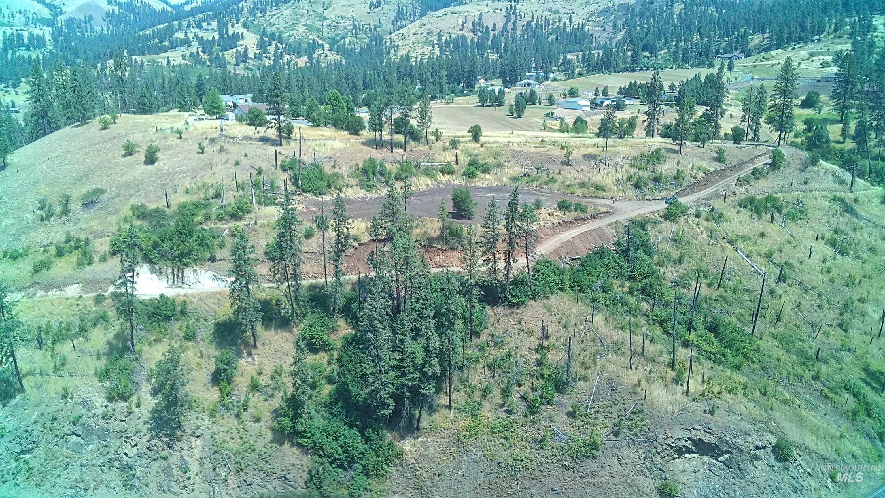 TBD Glenwood Road, Kamiah, Idaho 83536, Land For Sale, Price $199,000,MLS 98888731