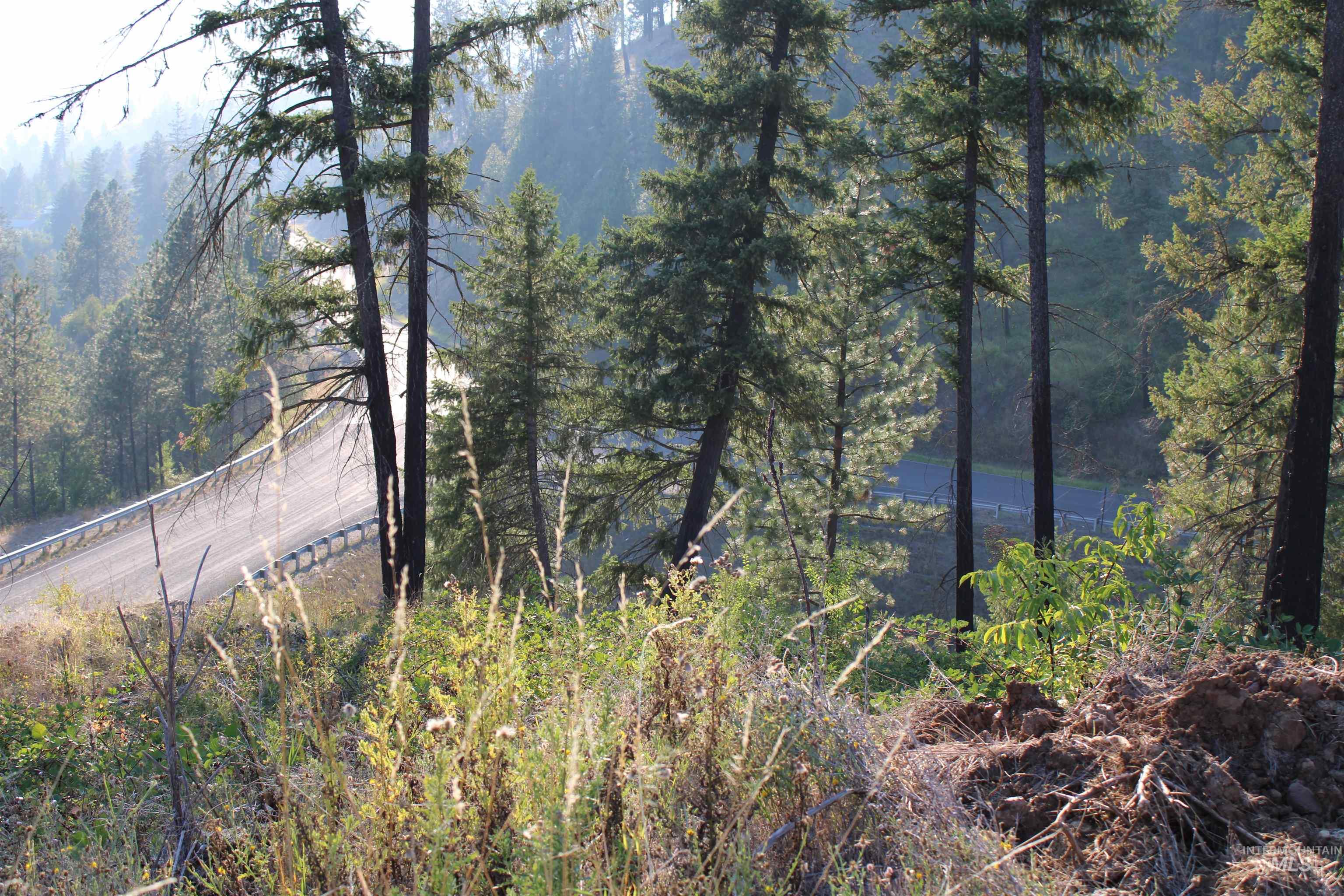 TBD Glenwood Road, Kamiah, Idaho 83536, Land For Sale, Price $199,000, 98888731