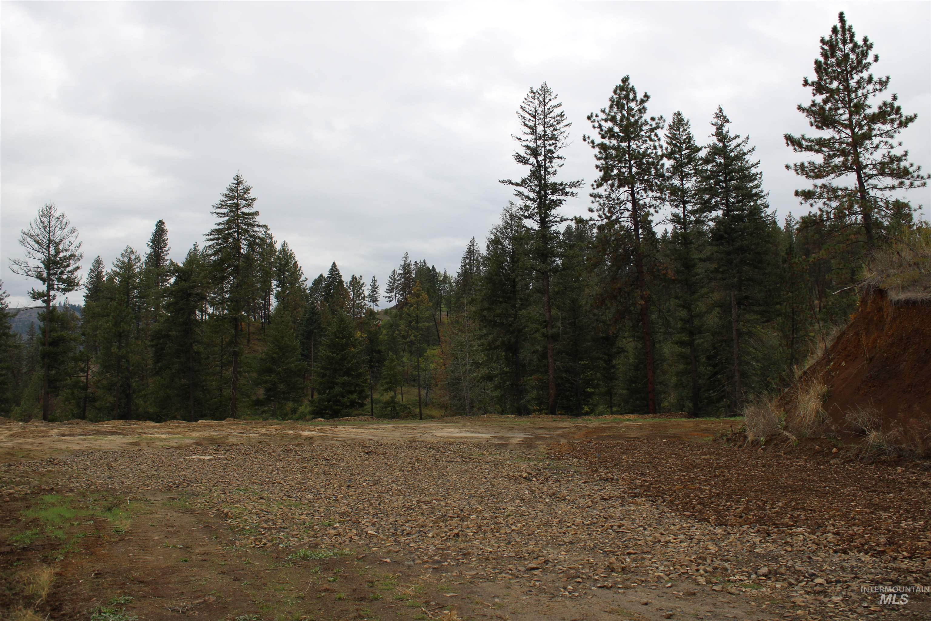 TBD Glenwood Road, Kamiah, Idaho 83536, Land For Sale, Price $199,000, 98888731