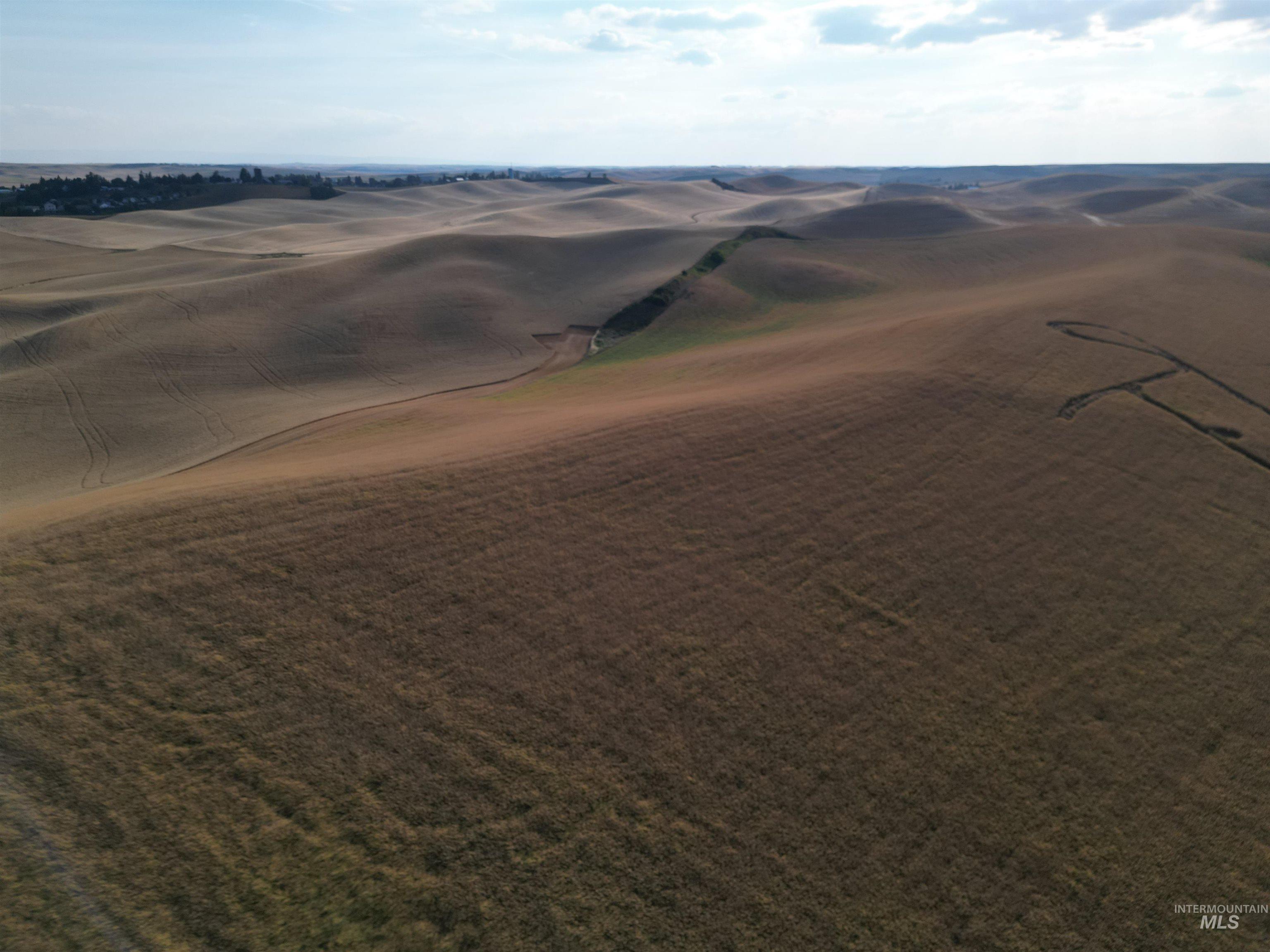 000 Old Hwy 95, Genesee, Idaho 83832, Land For Sale, Price $315,000, 98889605