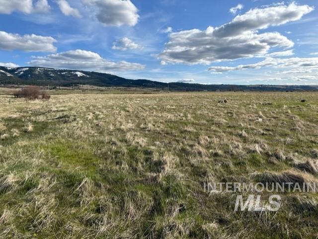 TBD Parcel 2A Whitetail Dr, Grangeville, Idaho 83530, Land For Sale, Price $150,000,MLS 98889945