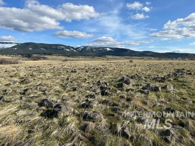 TBD Parcel 2A Whitetail Dr, Grangeville, Idaho 83530, Land For Sale, Price $150,000,MLS 98889945