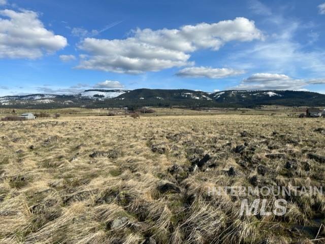 TBD Parcel 2A Whitetail Dr, Grangeville, Idaho 83530, Land For Sale, Price $150,000, 98889945