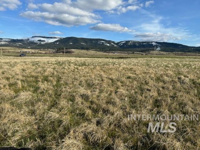 TBD Parcel 2B Whitetail Dr, Grangeville, Idaho 83530, Land For Sale, Price $140,000, 98889948