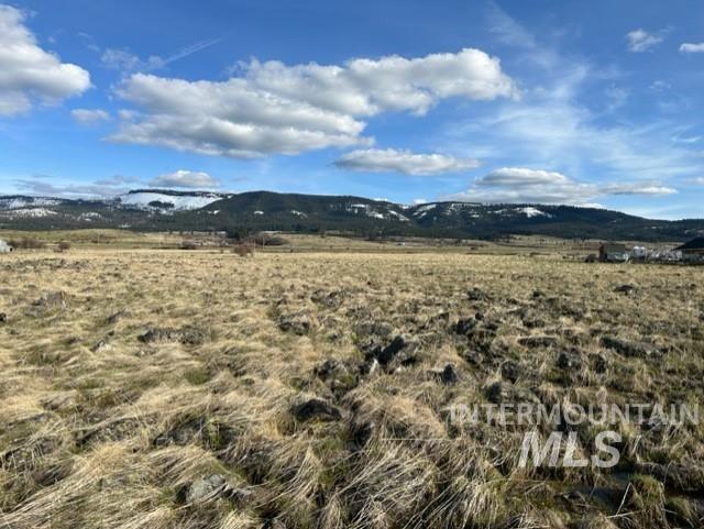TBD Parcel 2B Whitetail Dr, Grangeville, Idaho 83530, Land For Sale, Price $140,000, 98889948