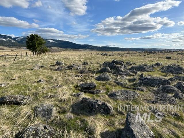 TBD Parcel 2B Whitetail Dr, Grangeville, Idaho 83530, Land For Sale, Price $140,000, 98889948