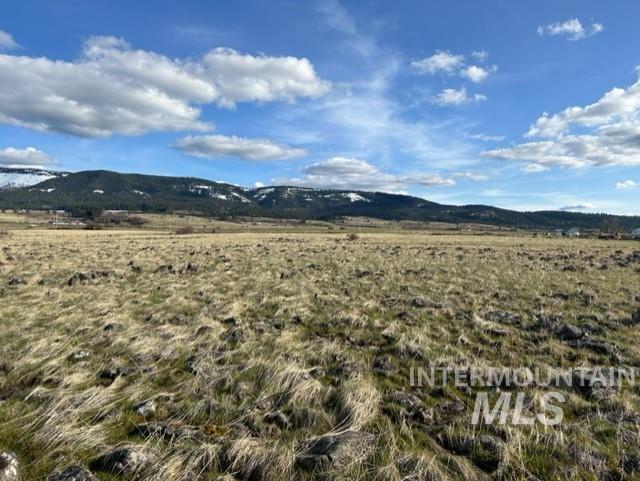 TBD Parcel 2B Whitetail Dr, Grangeville, Idaho 83530, Land For Sale, Price $140,000, 98889948