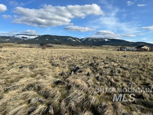 TBD Parcel 2B Whitetail Dr, Grangeville, Idaho 83530, Land For Sale, Price $140,000, 98889948