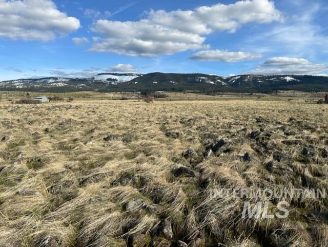 TBD Parcel 2B Whitetail Dr, Grangeville, Idaho 83530, Land For Sale, Price $140,000, 98889948