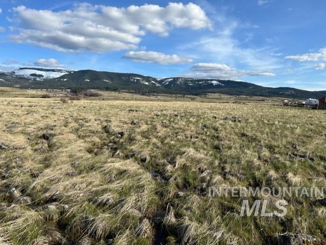TBD Parcel 2B Whitetail Dr, Grangeville, Idaho 83530, Land For Sale, Price $140,000, 98889948