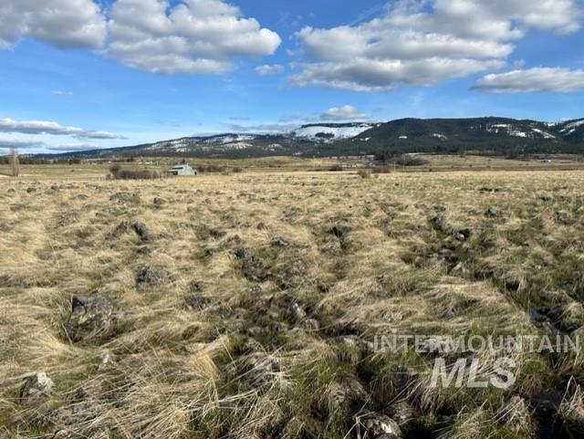TBD Parcel 2B Whitetail Dr, Grangeville, Idaho 83530, Land For Sale, Price $140,000, 98889948