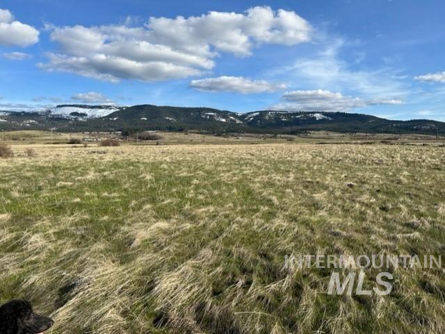 TBD Parcel 2B Whitetail Dr, Grangeville, Idaho 83530, Land For Sale, Price $140,000, 98889948