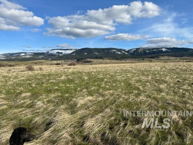 TBD Parcel 2B Whitetail Dr, Grangeville, Idaho 83530, Land For Sale, Price $140,000,MLS 98889948