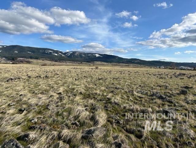 TBD Parcel 2B Whitetail Dr, Grangeville, Idaho 83530, Land For Sale, Price $140,000, 98889948