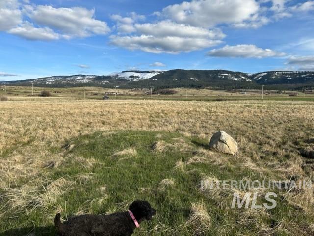 TBD Parcel 2B Whitetail Dr, Grangeville, Idaho 83530, Land For Sale, Price $140,000, 98889948