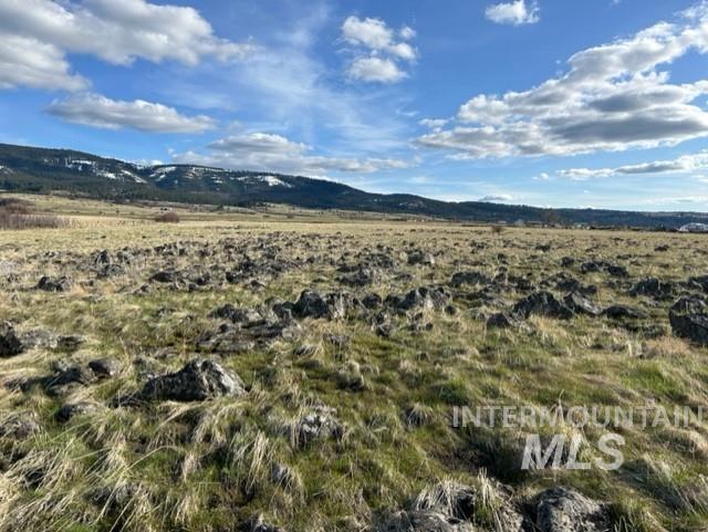 TBD Parcel 2B Whitetail Dr, Grangeville, Idaho 83530, Land For Sale, Price $140,000, 98889948