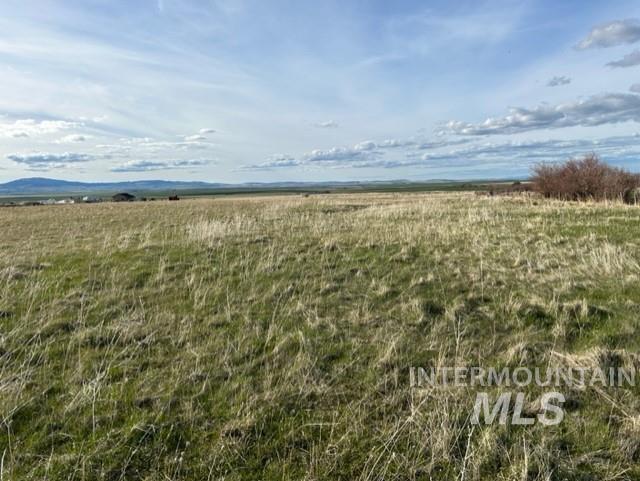 TBD Parcel 2B Whitetail Dr, Grangeville, Idaho 83530, Land For Sale, Price $140,000, 98889948