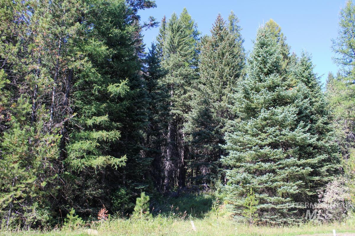Tax #3 West Mountain Road, Donnelly, Idaho 83615, Land For Sale, Price $499,000, 98890153