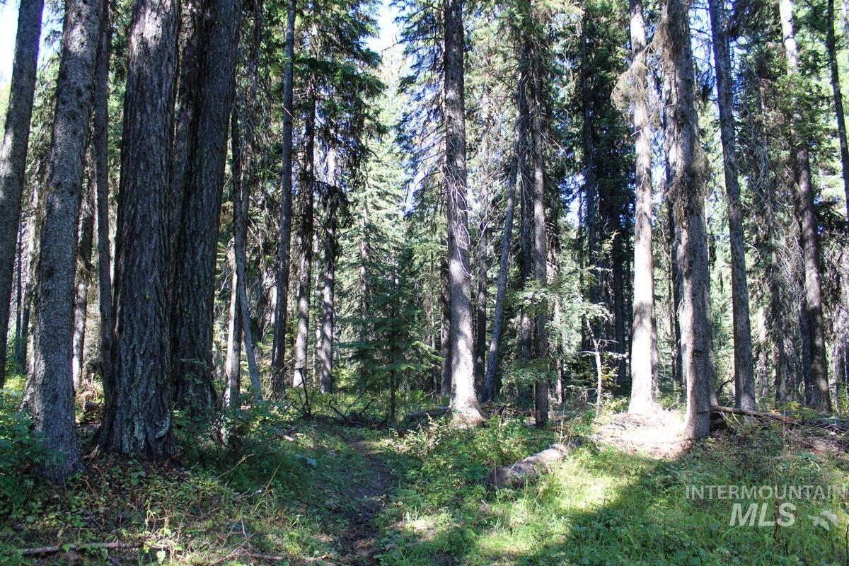 Tax #3 West Mountain Road, Donnelly, Idaho 83615, Land For Sale, Price $499,000, 98890153