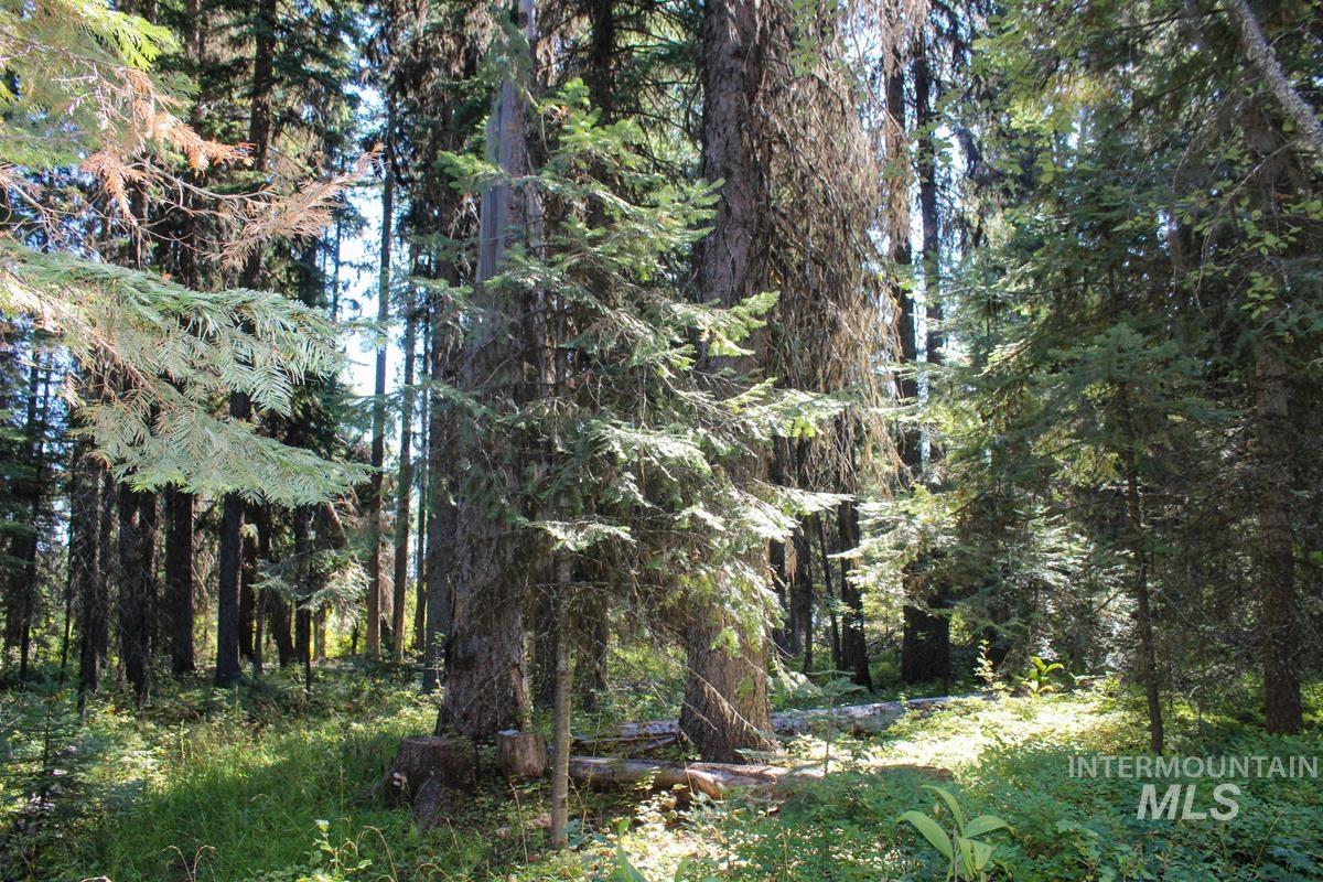 Tax #3 West Mountain Road, Donnelly, Idaho 83615, Land For Sale, Price $499,000, 98890153