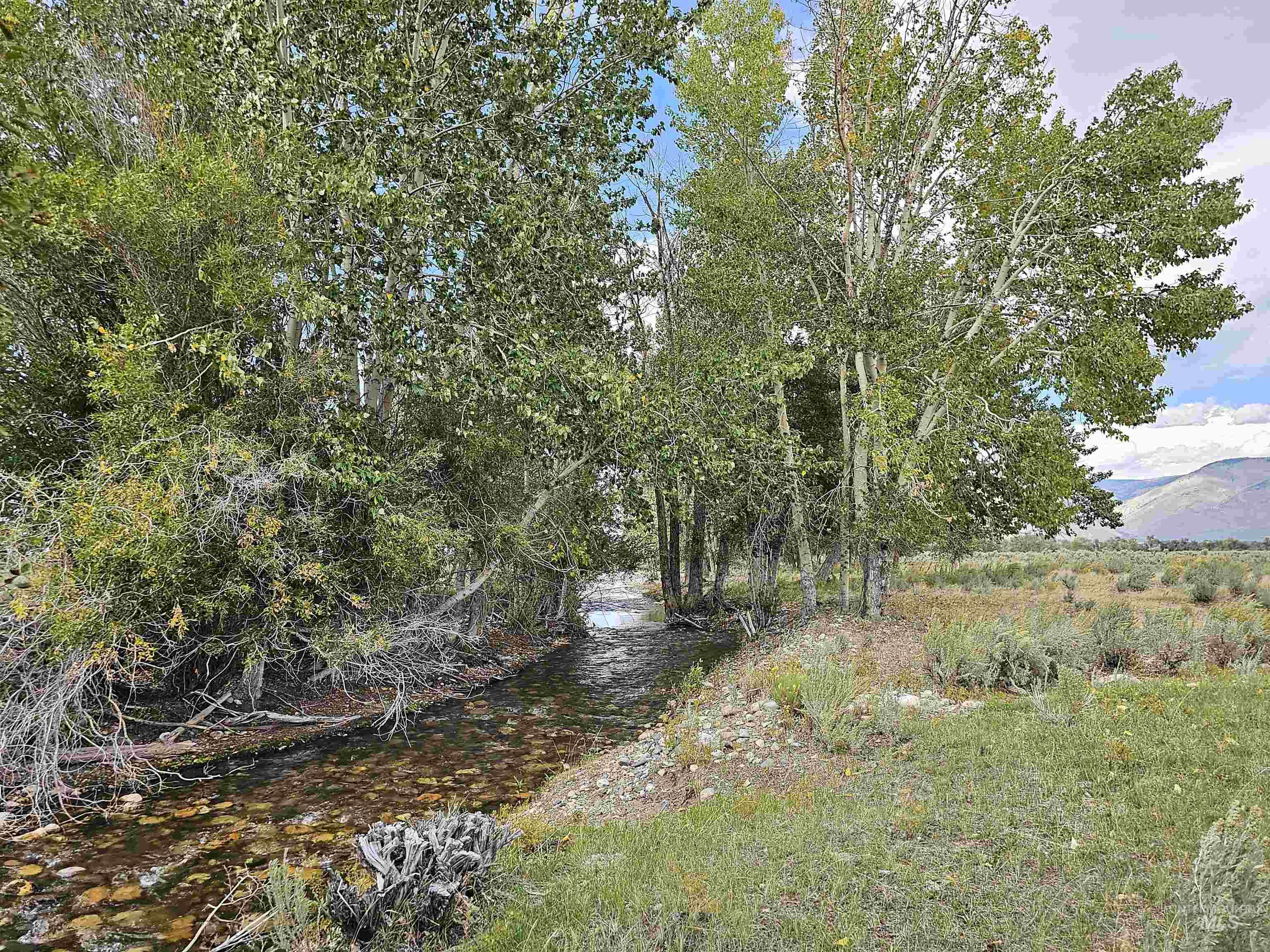 TBD Timber Creek Rd., Leadore, Idaho 83464, Land For Sale, Price $870,000,MLS 98890308