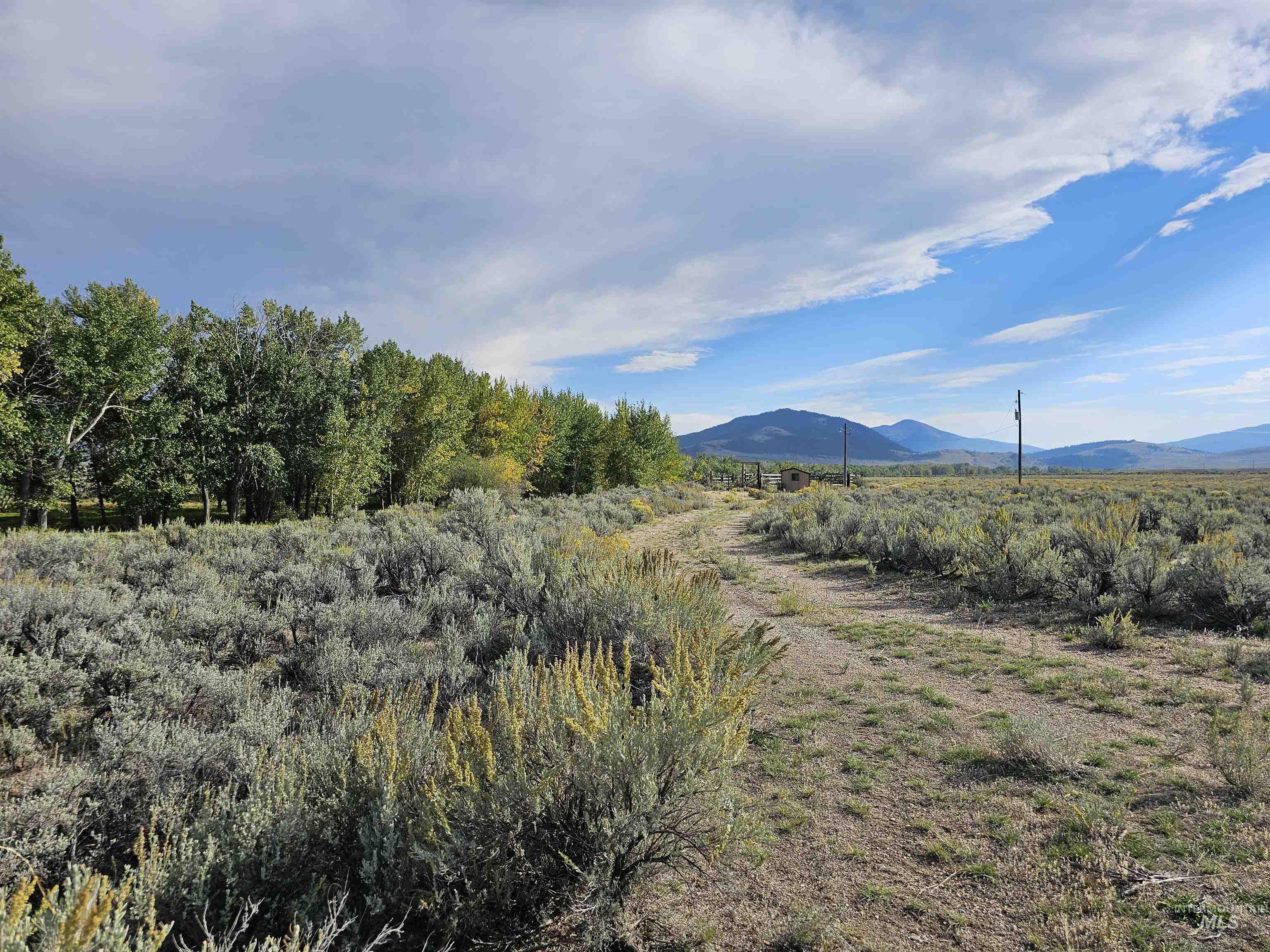 TBD Timber Creek Rd., Leadore, Idaho 83464, Land For Sale, Price $870,000,MLS 98890308