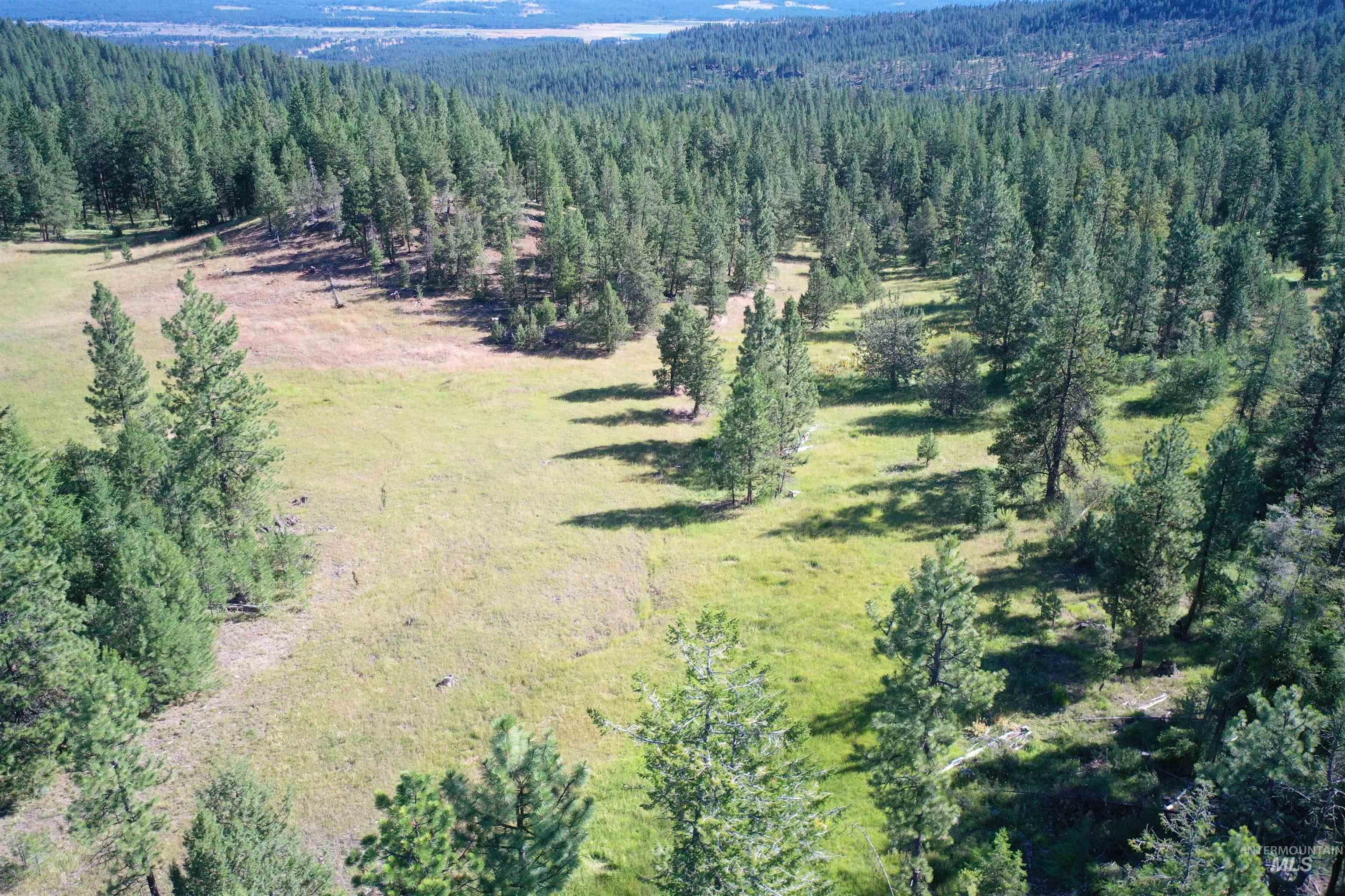 TBD National Forest Dev Rd #1170, Sumpter, Oregon 97877, Land For Sale, Price $280,000,MLS 98891292