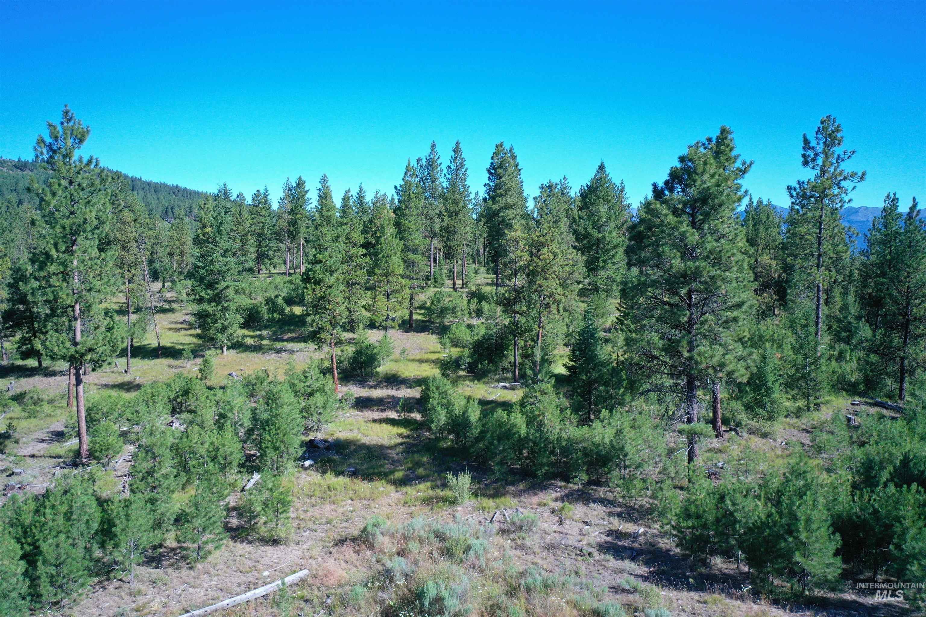TBD National Forest Dev Rd #1170, Sumpter, Oregon 97877, Land For Sale, Price $280,000,MLS 98891292